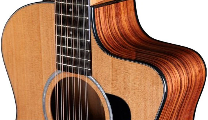 TAYLOR 254CE PLUS GUITARRA ELECTROACUSTICA 12 CUERDAS GRAN AUDITORIO - Image 4