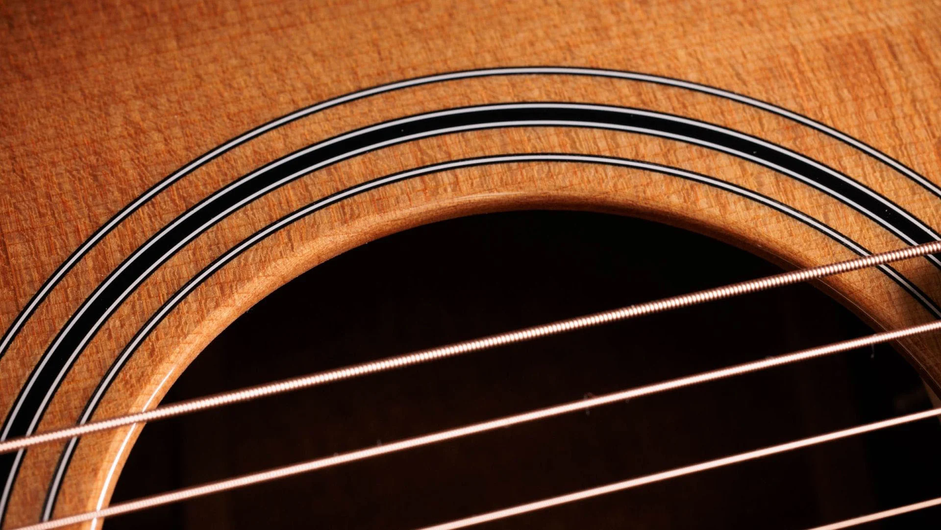 TAYLOR 314CE STUDIO SEB GUITARRA ELECTROACUSTICA GRAND AUDITORIUM SHADED EDGE BURST - Image 4