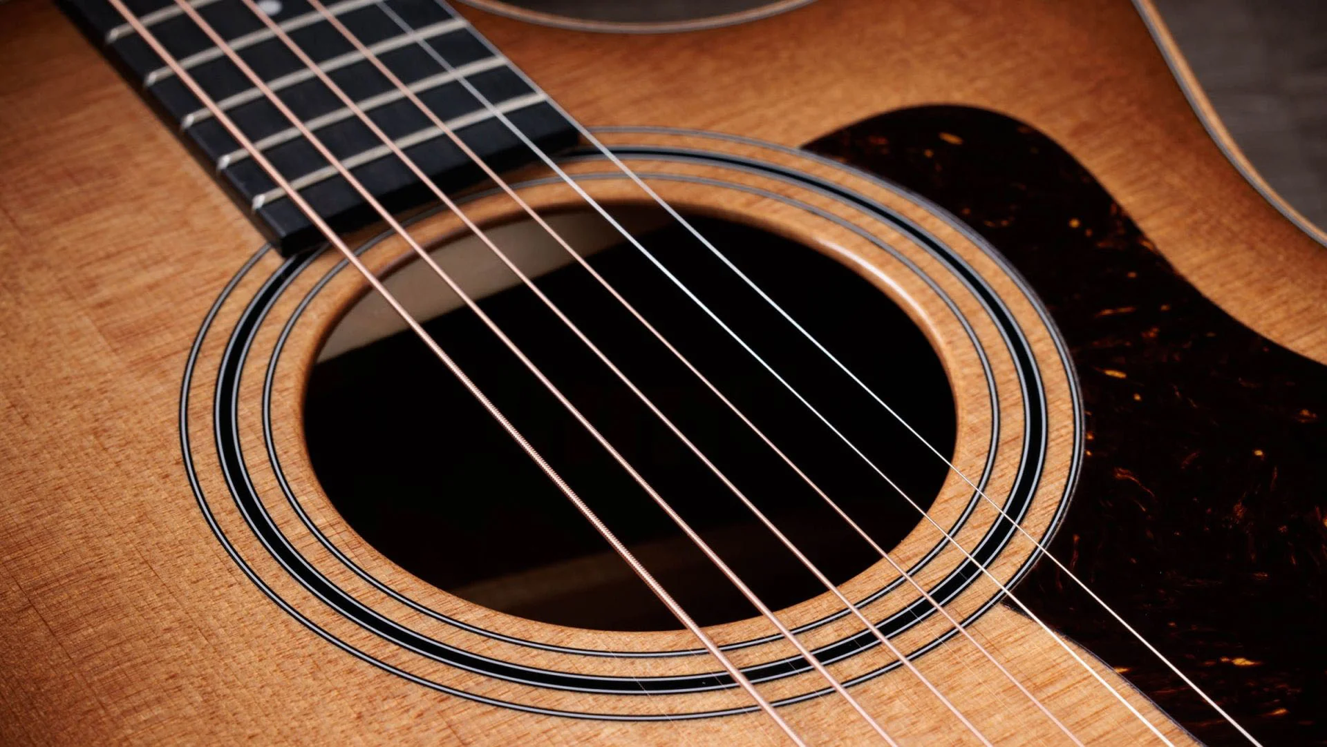 TAYLOR 314CE STUDIO SEB GUITARRA ELECTROACUSTICA GRAND AUDITORIUM SHADED EDGE BURST - Image 6