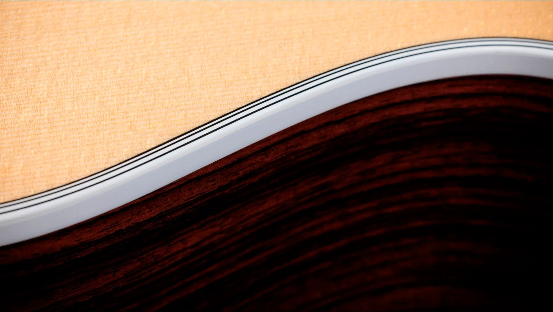 TAYLOR 454CE-12 NAT GUITARRA ELECTROACUSTICA GRAN AUDITORIO 12 CUERDAS NATURAL. - Image 9
