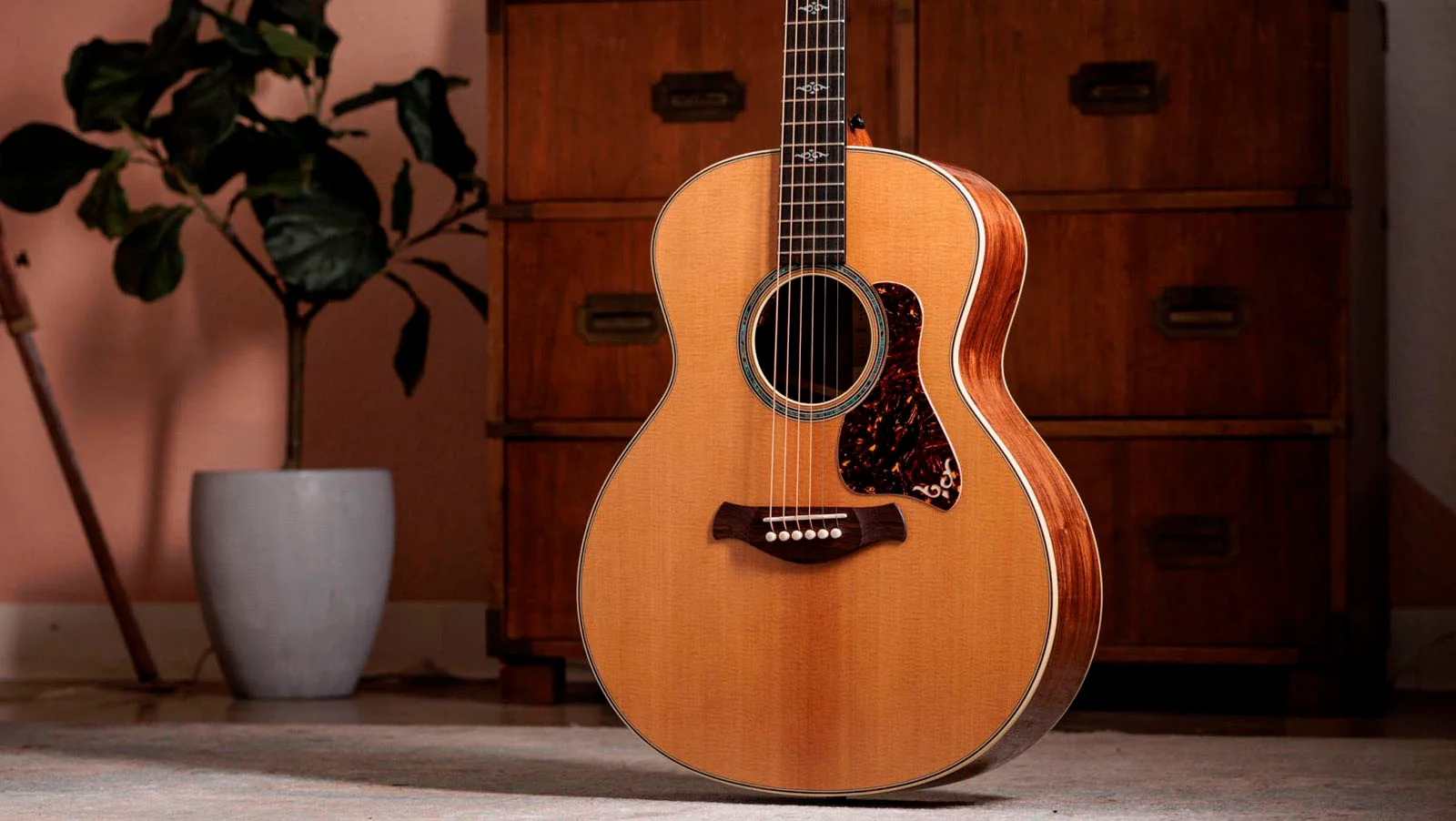 TAYLOR GOLD LABEL 814E GUITARRA ELECTROACUSTICA SUPER AUDITORIO - Image 22