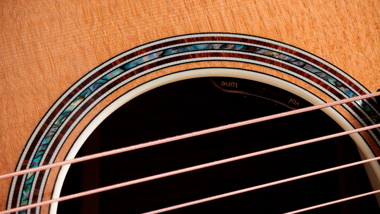 TAYLOR GOLD LABEL 814E GUITARRA ELECTROACUSTICA SUPER AUDITORIO - Image 5