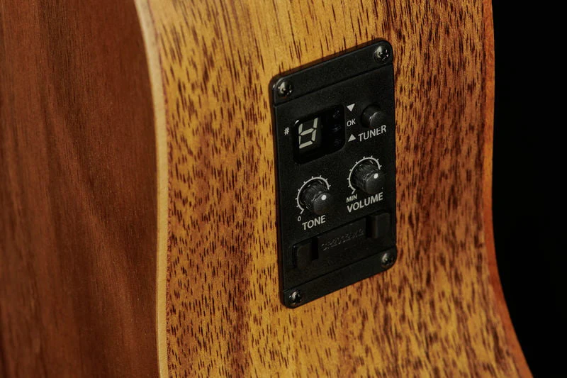 TAYLOR GS MINI E KOA BASS BAJO ELECTROACUSTICO - Image 18