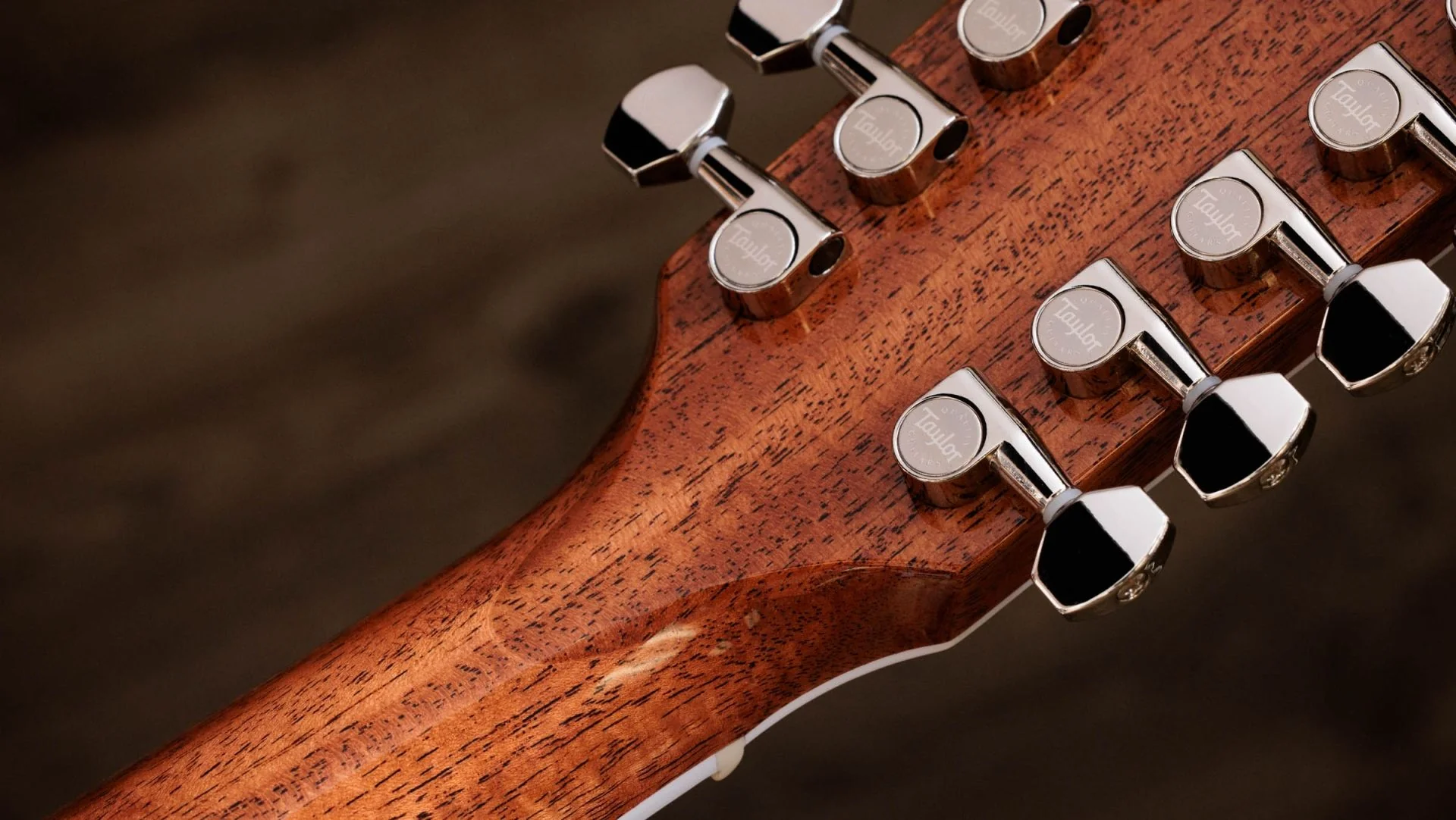 TAYLOR LEGACY 855E GUITARRA ELECTROACUSTICA 12 CUERDAS JUMBO - Image 13