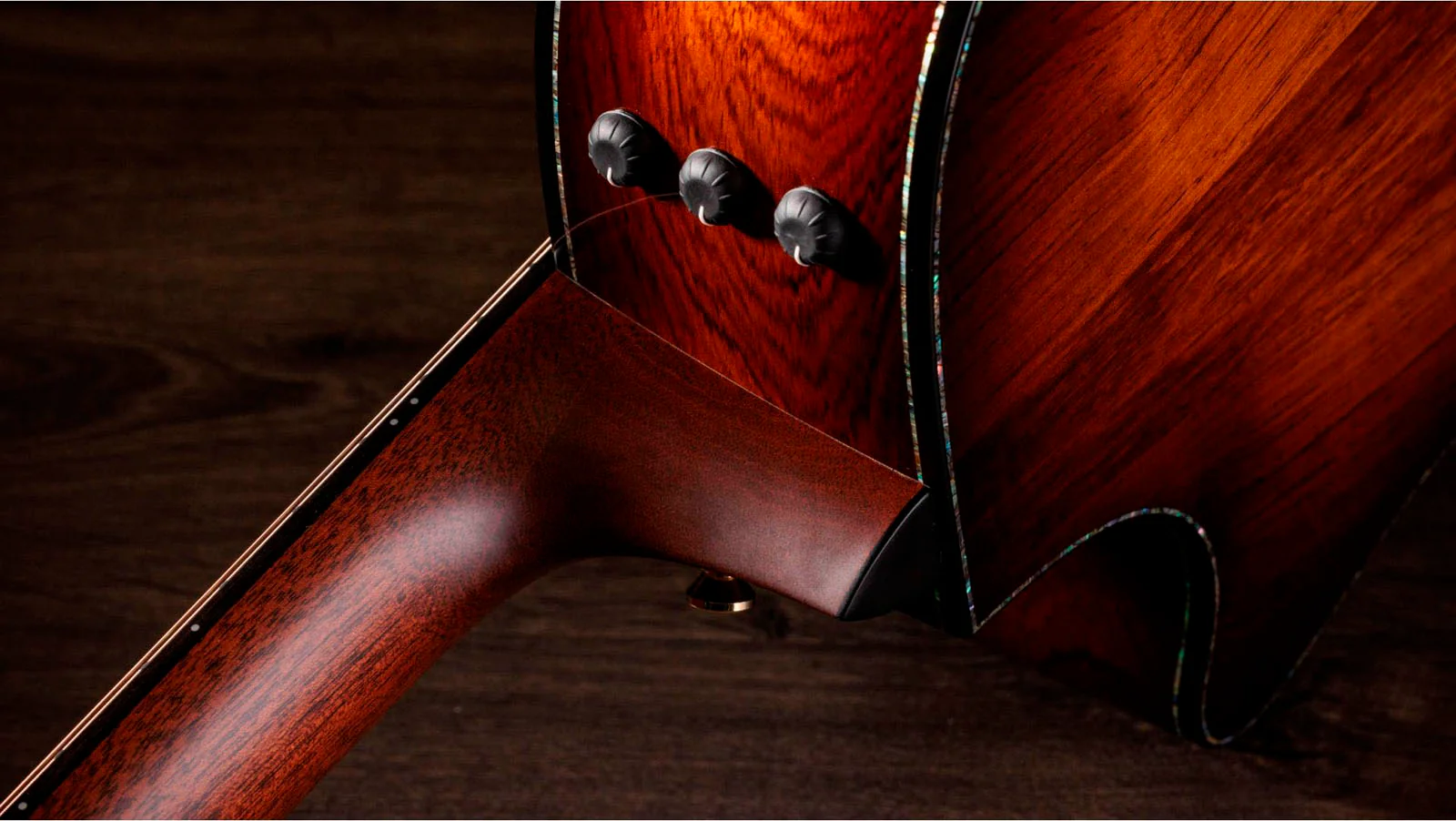 TAYLOR PS54CE GUITARRA ELECTROACUSTICA GRAN AUDITORIO 12 CUERDAS - Image 10