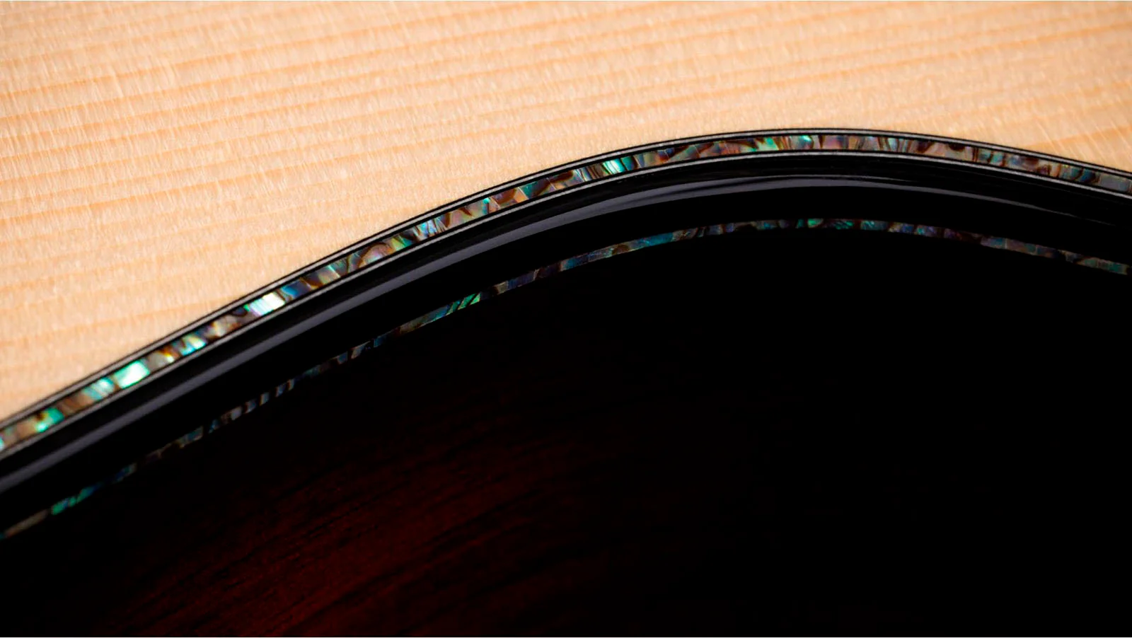 TAYLOR PS54CE GUITARRA ELECTROACUSTICA GRAN AUDITORIO 12 CUERDAS - Image 11
