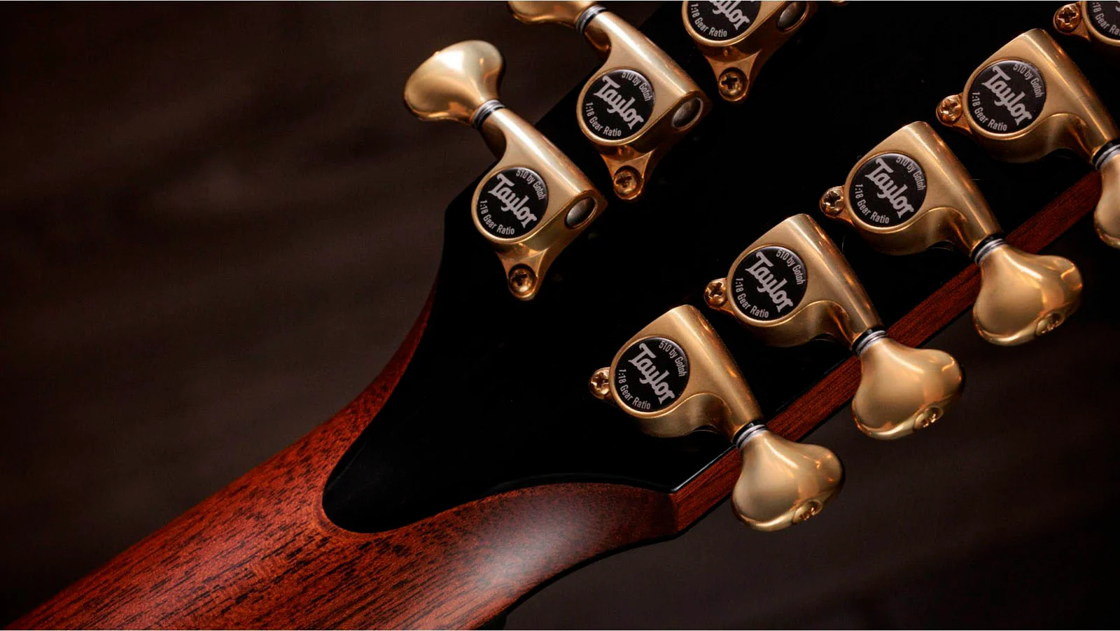 TAYLOR PS54CE GUITARRA ELECTROACUSTICA GRAN AUDITORIO 12 CUERDAS - Image 13