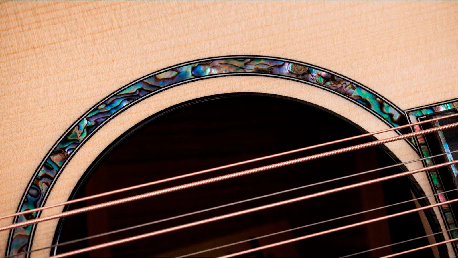 TAYLOR PS54CE GUITARRA ELECTROACUSTICA GRAN AUDITORIO 12 CUERDAS - Image 5