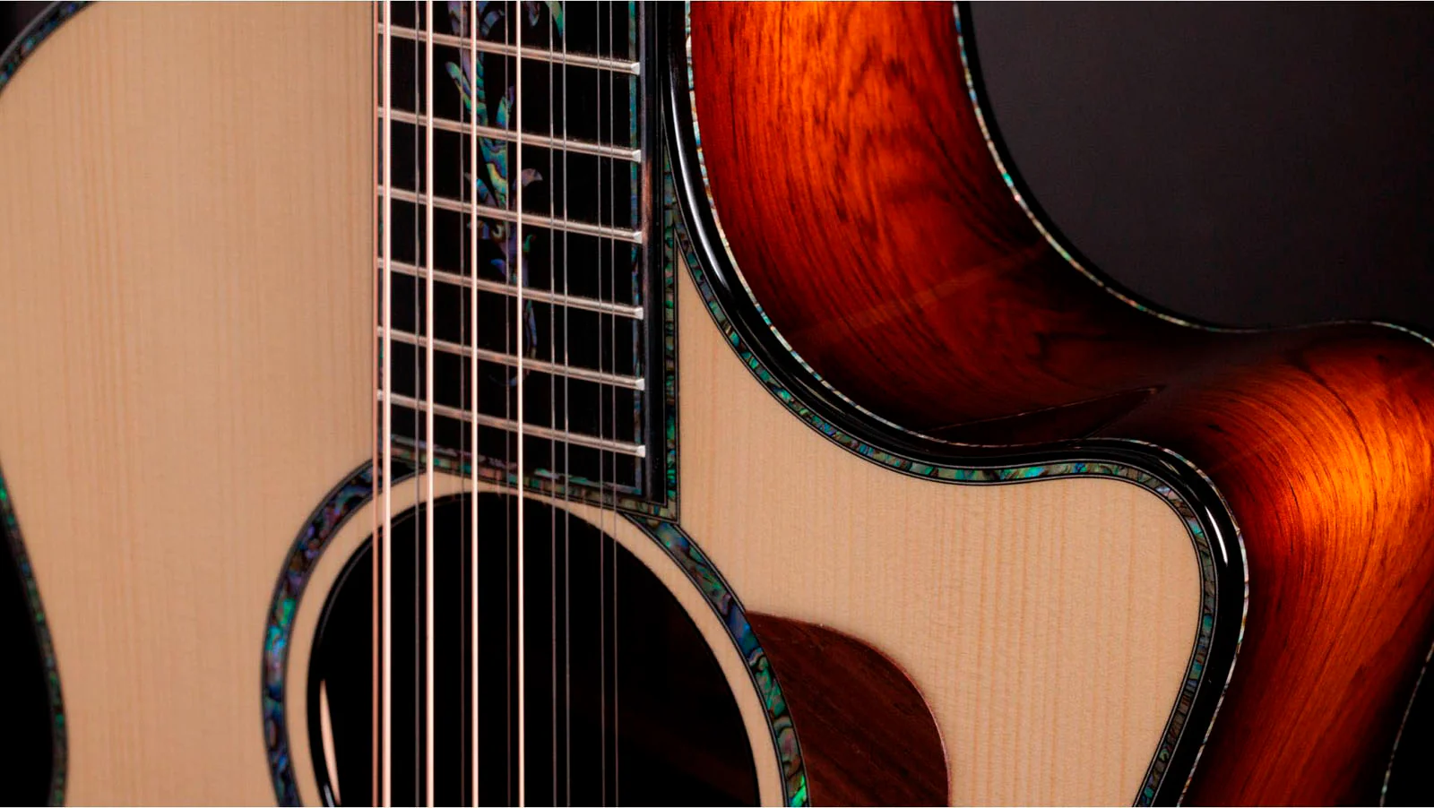 TAYLOR PS54CE GUITARRA ELECTROACUSTICA GRAN AUDITORIO 12 CUERDAS - Image 6
