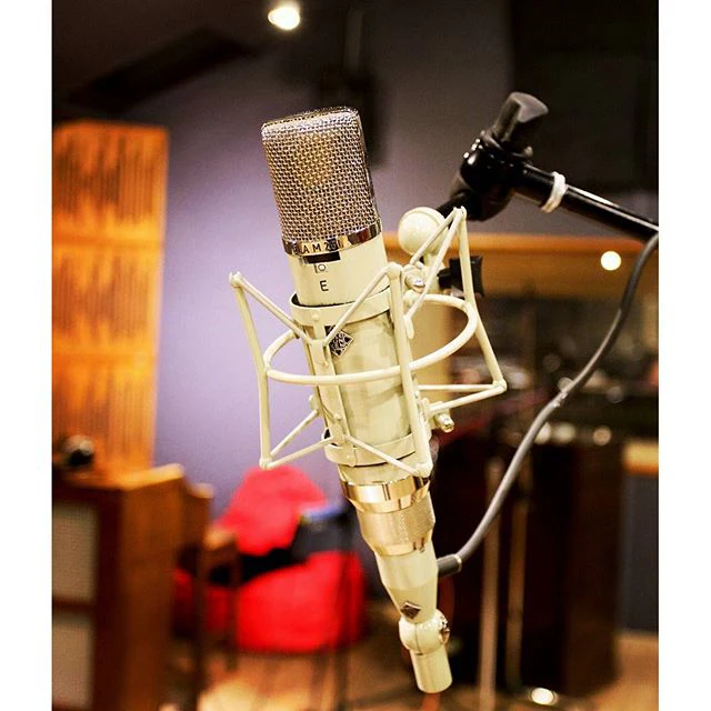 TELEFUNKEN ELA M251E SERIE DIAMOND MICROFONO CONDENSADOR GRAN DIAFRAGMA - Image 4