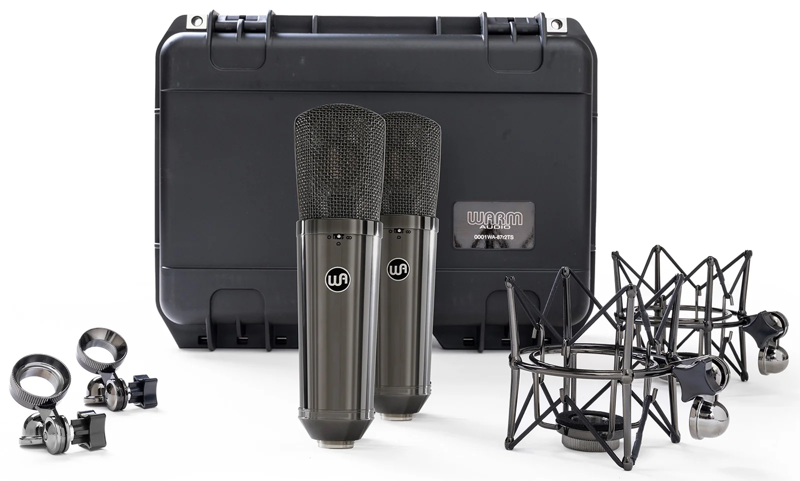 WARM AUDIO WA-87 R2 TS PAREJA DE MICROFONOS DE CONDENSADOR TRIPLE PATRON POLAR TITANIUM SILVER - Image 4