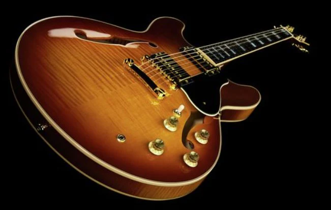 YAMAHA SA2200 VS GUITARRA ELECTRICA VIOLIN SUNBURST - Image 11